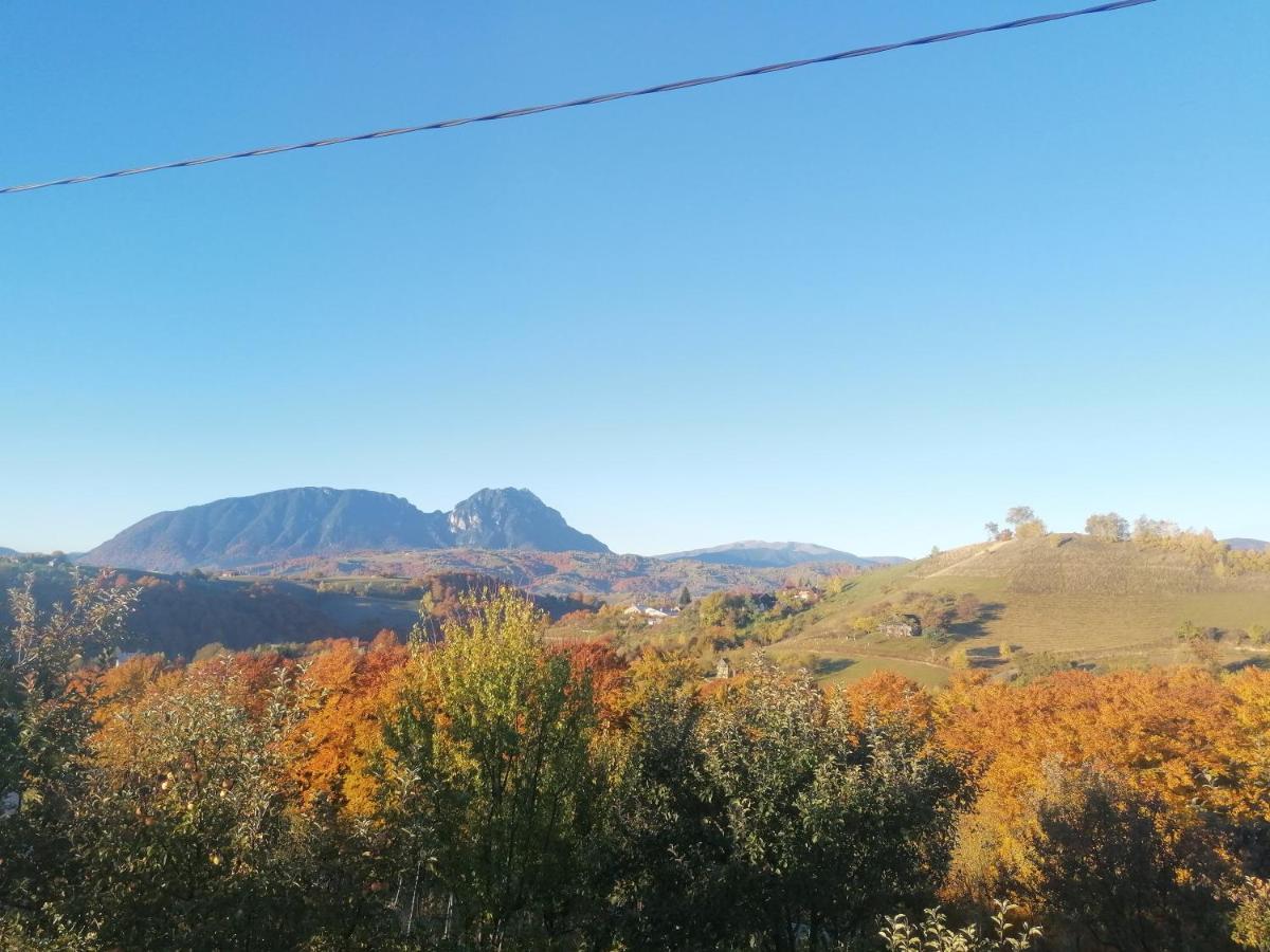 Villa Conacul Elenei Poiana Mărului Exterior foto