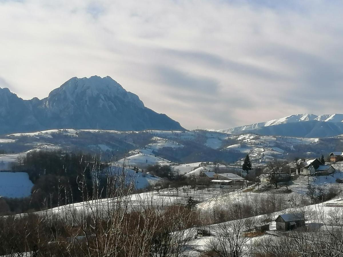 Villa Conacul Elenei Poiana Mărului Exterior foto