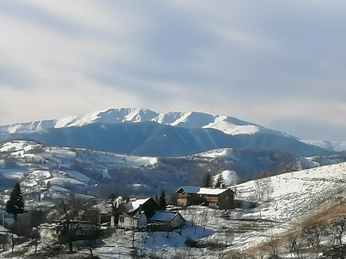 Villa Conacul Elenei Poiana Mărului Exterior foto