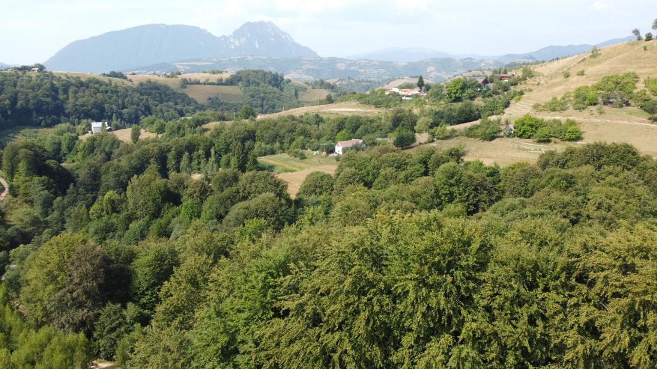 Villa Conacul Elenei Poiana Mărului Exterior foto