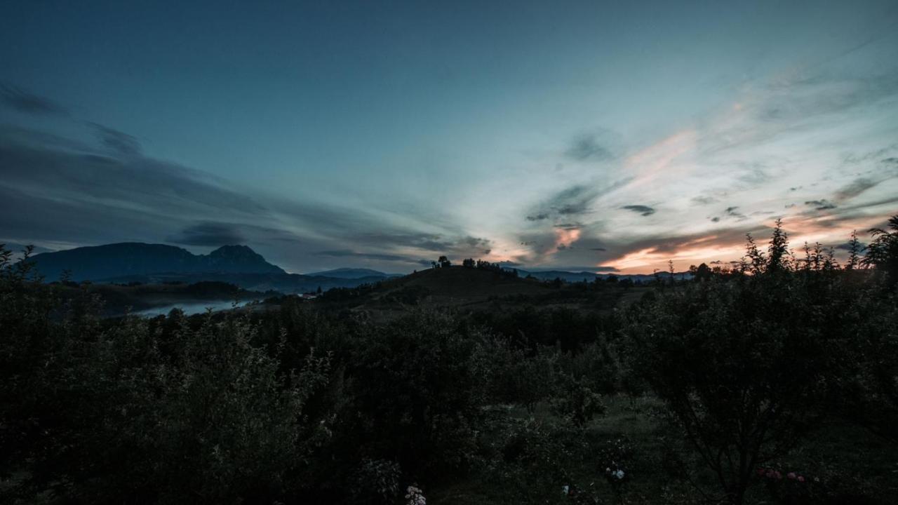 Villa Conacul Elenei Poiana Mărului Exterior foto